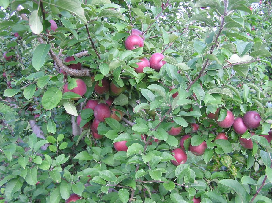 sept024.jpg